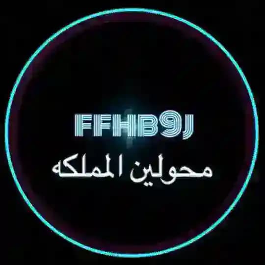 قناة محولين المملكة