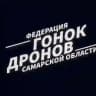 Федерация гонок дронов Самарской области