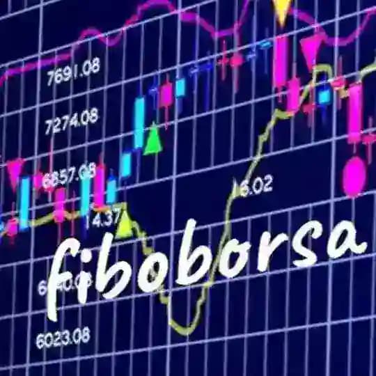 A.Tarık OCAK Profile