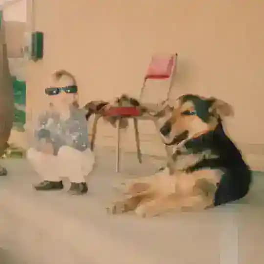 Мерцающий инжир