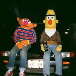 အစုံပလုံ အကုန်တင်မယ် Profile