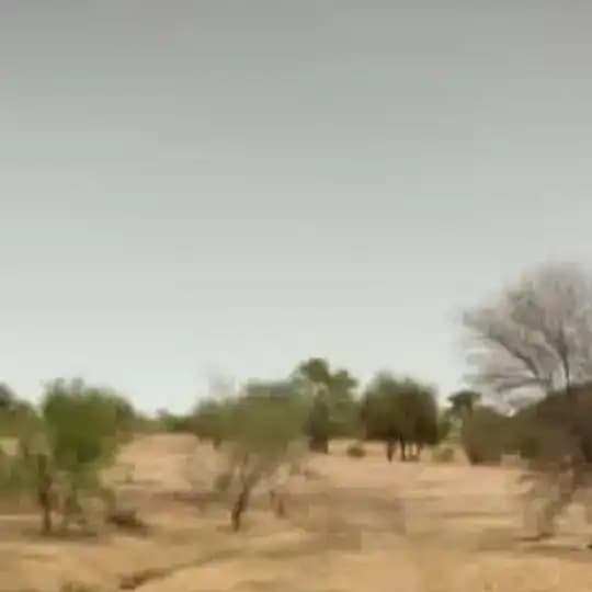 FILM 🎥 EN FRANÇAIS Profile