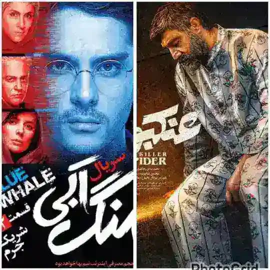 نهنگ آبی ● جوجه تیغی ● عنکبوت