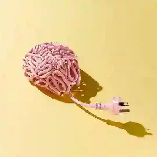 Факты Фортуны