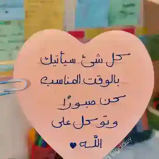 انكليزي أول متوسط للعراق Profile