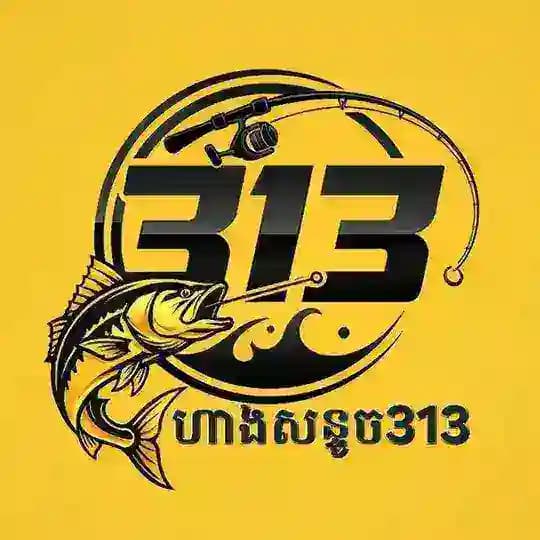 ហាងសន្ទួច 313