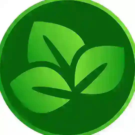 Fitoenergética Profile