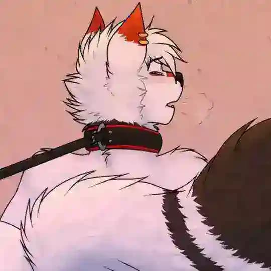 Femboy/furry🏳️🌈