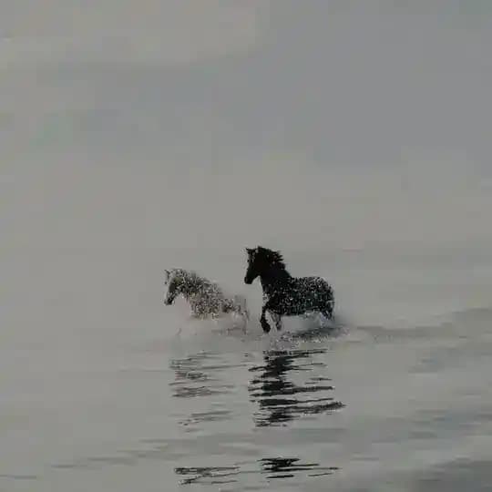 نـيـسـان