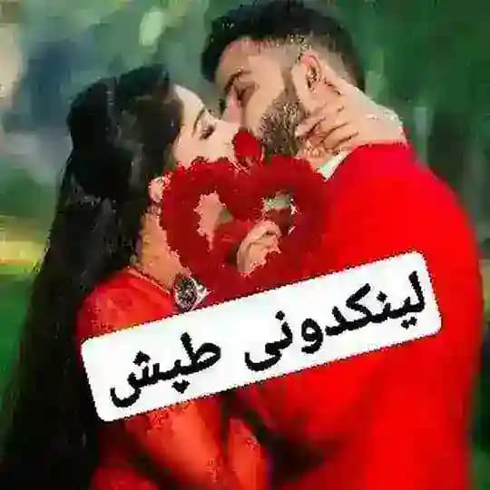 👑لینکدونی طپش👑