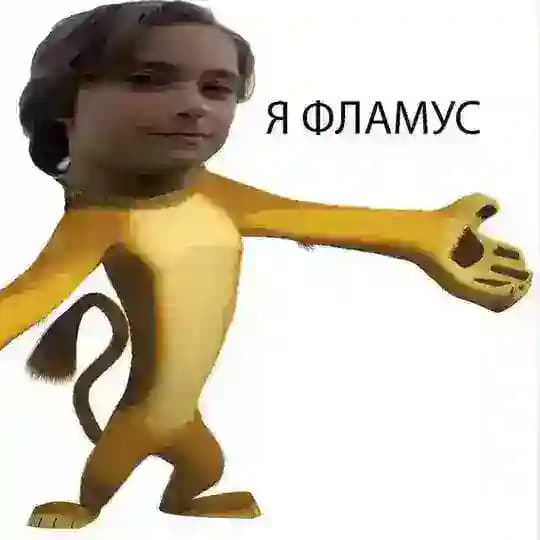 FL4MUS