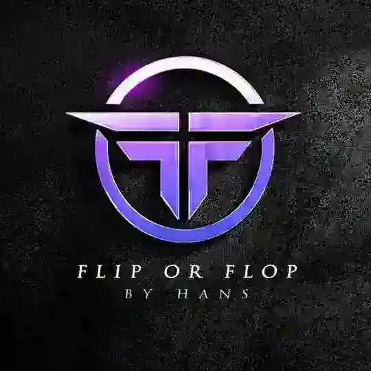 Flip Or Flop by Hans