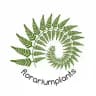 Florariumplants Флорариумплантс
