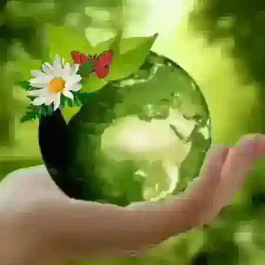 𝐅𝐋𝐎𝐑𝐄𝐒.𝐂𝐎𝐌