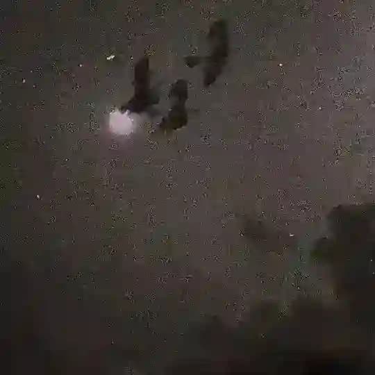 فنّ.