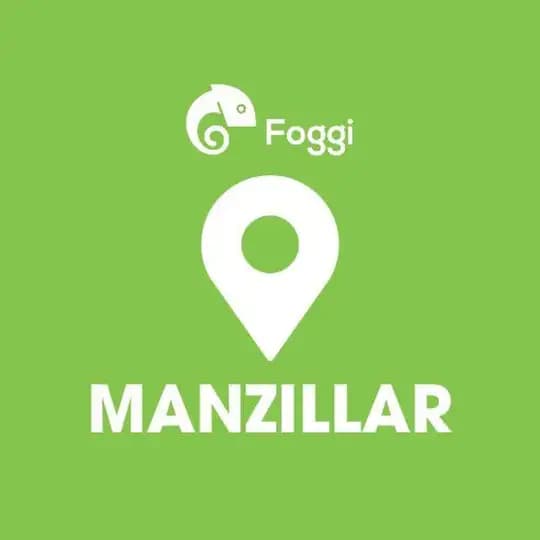 Foggi manzillari