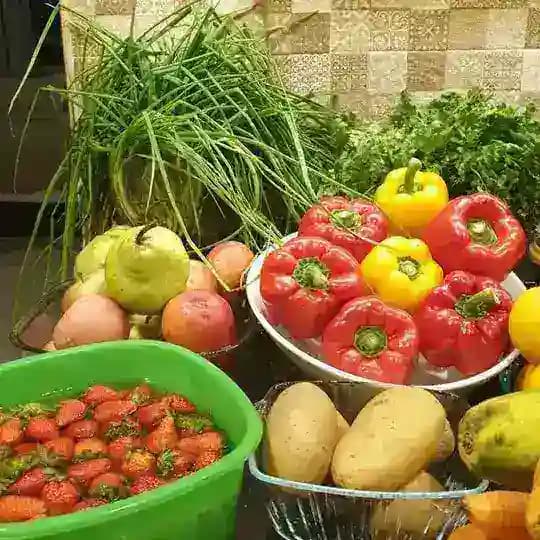 FRSK - Food Rescue Sengkang
