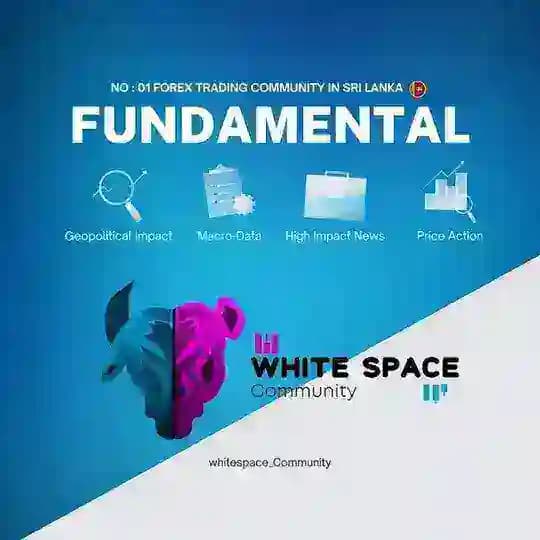 Whitespace Forex Insights- Live