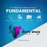 Whitespace Forex Insights- Live