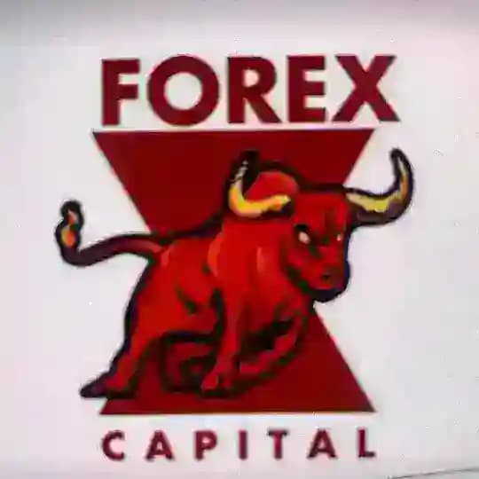 FOREX GOLD KILLER