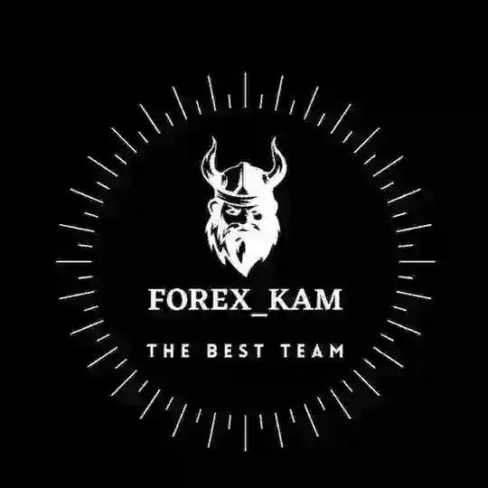 Forex_pro_kam