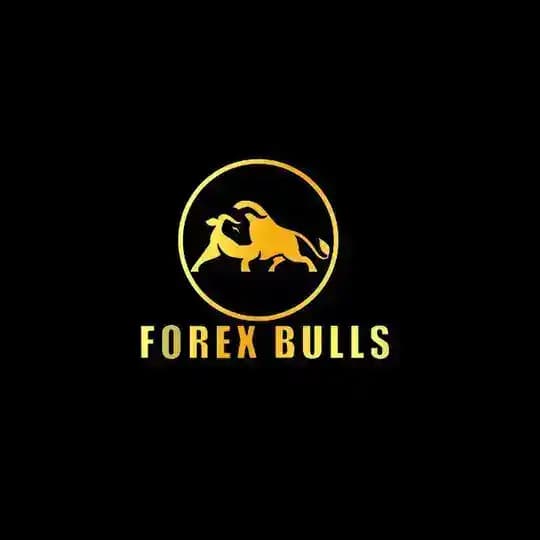 Forex Bulls Academy (Vidoller)