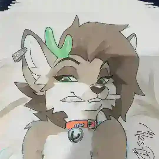 Fox.s_Box