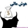 هوش مالی