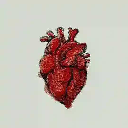 ᷂لـ ᷂قلبك Profile