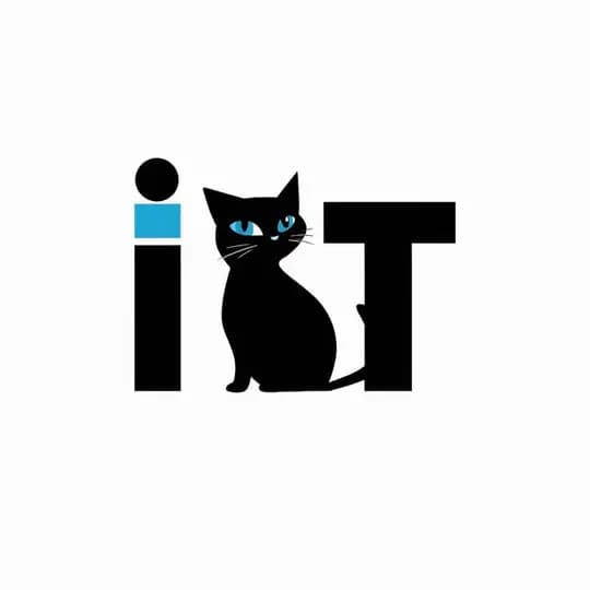 it курсы