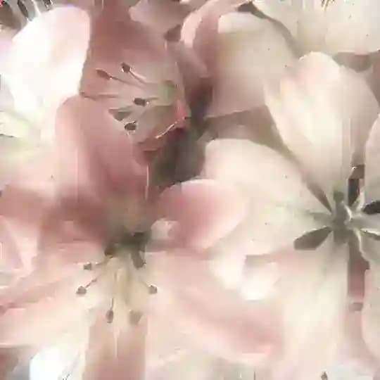 Freelance Create Gmail Profile