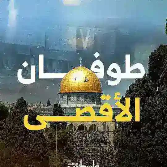 أصدقاء 🌙رغم الظروف 𓂆فلسطين❤️‍🩹السودان