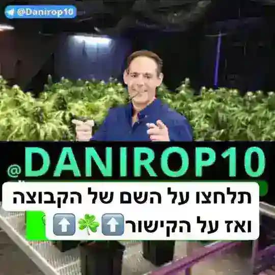תפזורת באצים ירושלים תל אביב