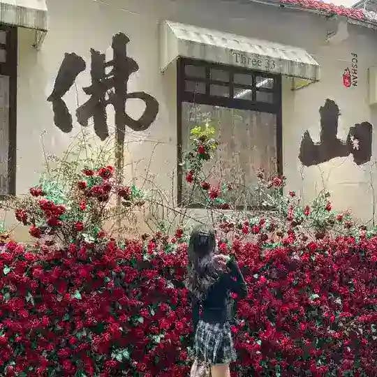佛山公开榜