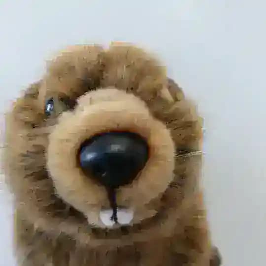 FsInfo Chats Profile