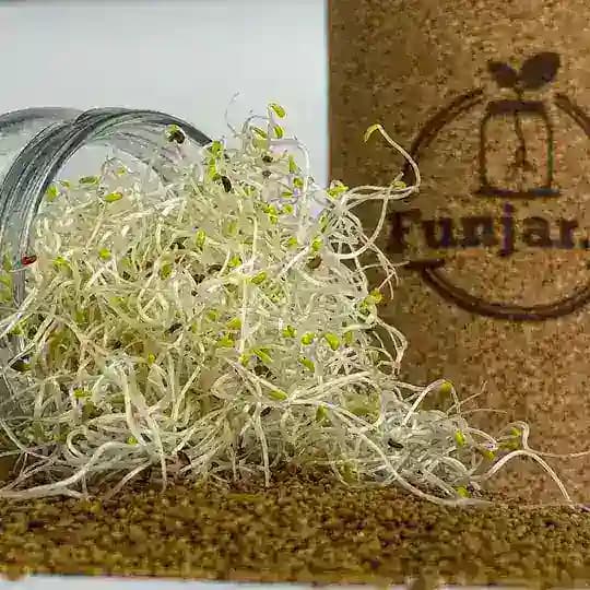 🌱 Funjar.nl / Bewust consumeren Profile