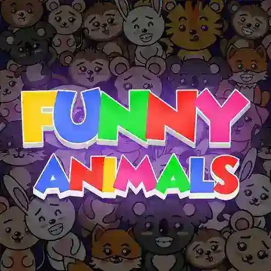 FUNNY ANIMALS π