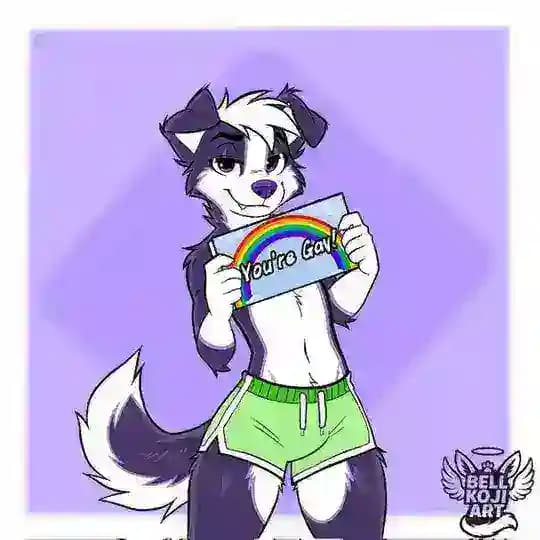 Furry gay fun🐉