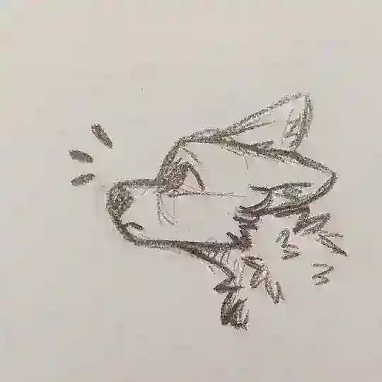 FURRY GAY YIFF🫶