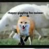 Furry gifs.