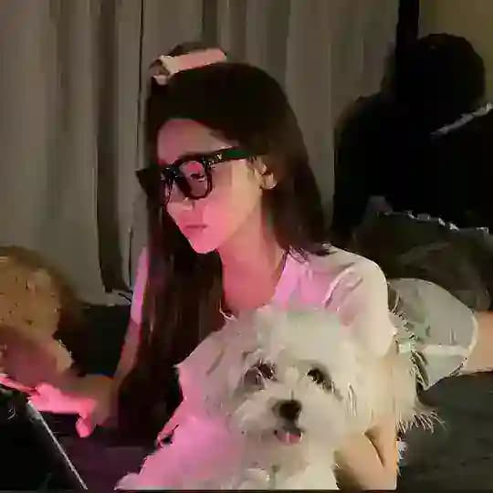 河内美女 河内选妃