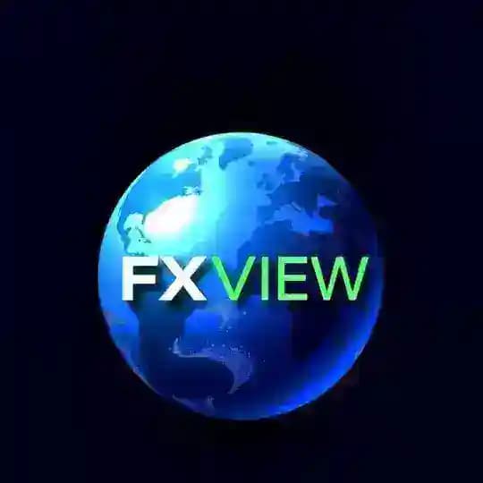 FXVIEW🌎
