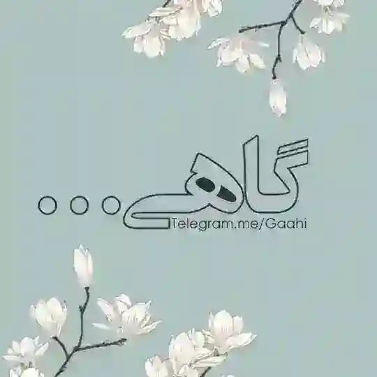 گاهـــی 🕊🤍