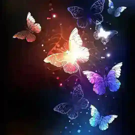 🦋Bướm Xinh🦋