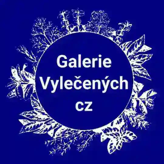 Galerie Vylečených
