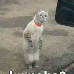 Front office Profile