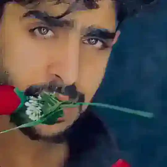 «🎀گالری ملیسا🎀» Profile