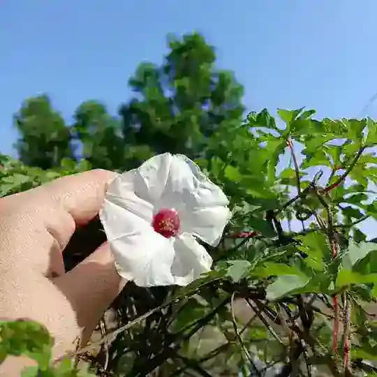 غيمه ☁️🌼. Profile