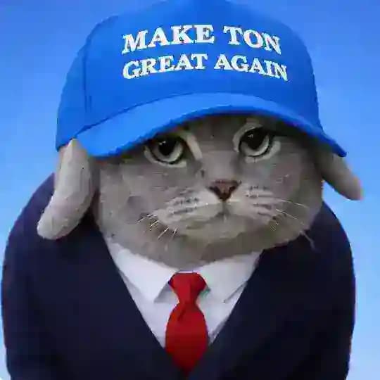cabbit shitpost