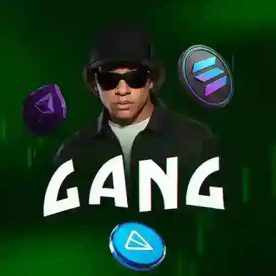 Gang V Cryptovalyte 🔐